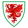 Welsh National Football Crest